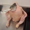 Logo of telegram channel smokingchickenfish — Smoking Chicken Fish