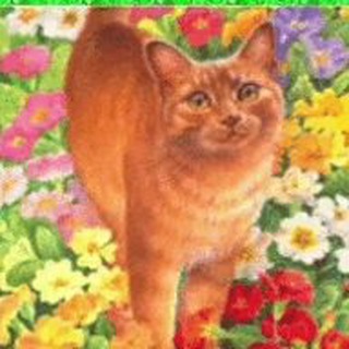 Логотип телеграм канала @smokinweedinla — Цокольный этаж