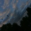Логотип телеграм канала @smoldvizh67 — Smoldvizh🌪