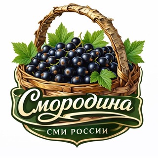 Логотип телеграм канала @smorodina_russia — Смородина | СМИ России