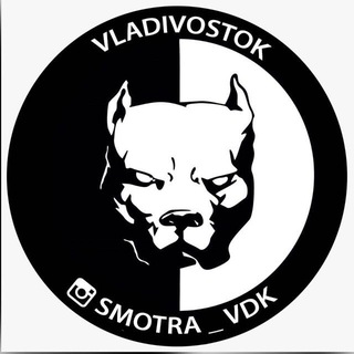 Логотип телеграм канала @smotravdk — Smotra_VL