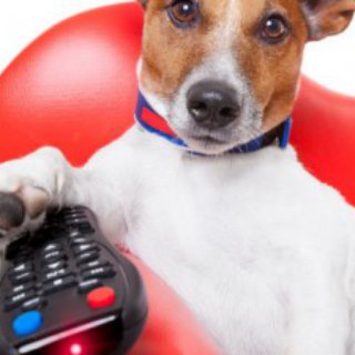 Логотип телеграм канала @smotrite — Счяс