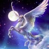 电报频道的标志 smsmooy — 神总的日常朋友圈🐴