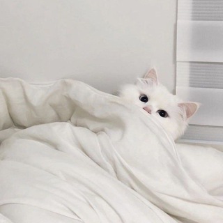 Логотип телеграм канала @smthngforyou — Who’s there?