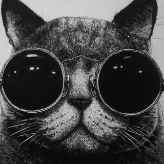 Логотип телеграм канала @smuglersnotes — Записки Контрабандиста