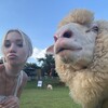 Логотип телеграм канала @smurlanaaa — тайная вечеря