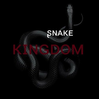 Логотип телеграм канала @snake_kingdom — — ʂɴᴀᴋᴇ ᴋɪɴɢᴅᴏᴍ.