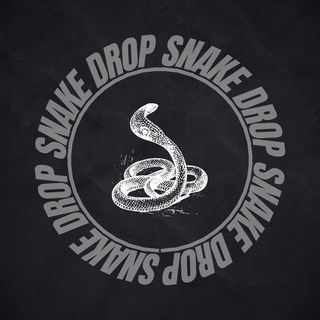 Логотип телеграм канала @snakedroptym — Snake Drop | Кроссовки