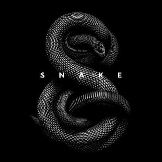 Логотип телеграм -каналу snakemusiiic — snake music⚕️