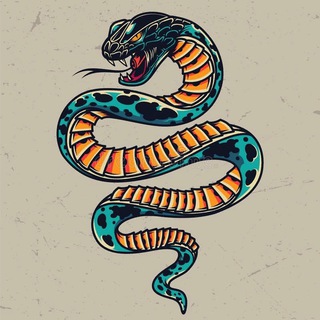 Логотип телеграм канала @snakeshop154 — Snake.shop154