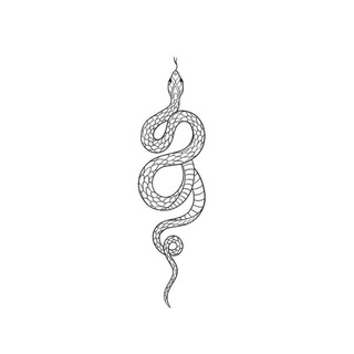 Логотип телеграм канала @snakewearrrrr — 🐍 SNAKE WEAR 🐍