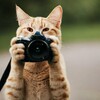 Логотип телеграм канала @snapideadaily0 — Эффектное Позирование