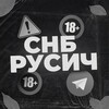 Логотип телеграм канала @snb_rusich — СНБ Русич