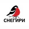 Логотип телеграм канала @snegiri_studiya — СНЕГИРИ валяние игрушек