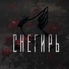 Логотип телеграм канала @snegirnf — Снегирь из ДНР🇷🇺