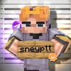 Логотип телеграм канала @sneyptt — Sneyptt | Minecraft моды