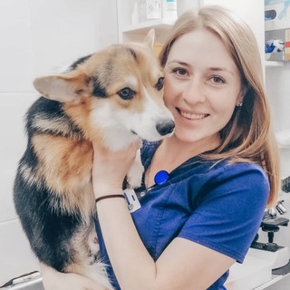 Логотип телеграм канала @snezhanavet — Snezhana.vet