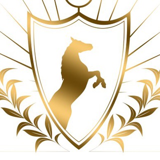 Логотип телеграм канала @snipe_bet — ✔️СТАВКИ✔️