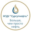 Логотип телеграм канала @snneft — НГДУ СУРГУТНЕФТЬ