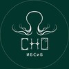 Логотип телеграм канала @sno_ibmst — СНО ИБСиБ
