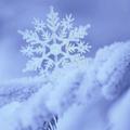 Logo saluran telegram snowflake103 — دونه ی برف❄️