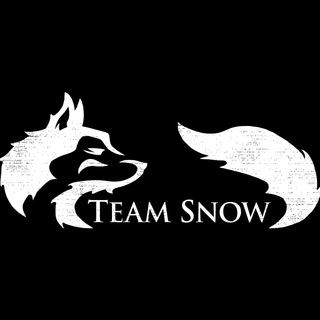 Логотип телеграм канала @snowteams — Logs team snow