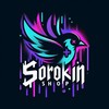 Logo of telegram channel sns_sorokin — S N S