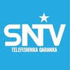 Telegram channel Telefishinka Qaranka ✔ logo