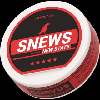 Логотип телеграм канала @snusnews_newstate — SNEWS | NEW STATE MOBILE