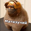 Логотип телеграм канала @so2_matizok — МАТИЗУЧИЙ