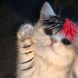 Логотип телеграм канала @so2shop_official — So2Shop-Раздачи скинов