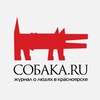 Логотип телеграм канала @sobaka_24 — Собака.ru Красноярск