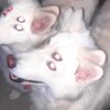 Логотип телеграм канала @sobakakakayato66 — Псяка какая-то