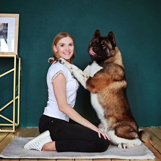 Логотип телеграм канала @sobakalogia — Собаки: Натуральное питание, секреты воспитания и здоровья