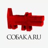 Логотип телеграм канала @sobakasmr — Смр.Собака.ru