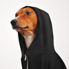 Логотип телеграм канала @sobakaulyubaka — КотоПёс и Человек