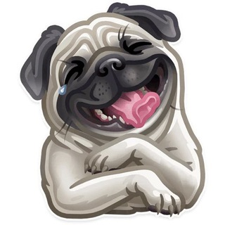 Логотип телеграм канала @sobaki_sobachki — Собаки / Собачки