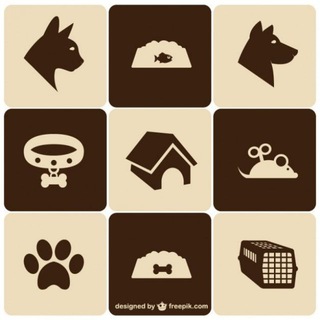 Логотип телеграм канала @sobakiikoshki — Домашние Животные * Ветеринар