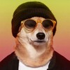 Logo of telegram channel sobakovy — Собаковый и всяковый | Dogs and other animals