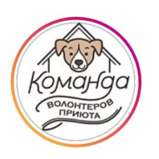 Логотип телеграм канала @sobaosoba — sobaki_priuta_nekrasovka