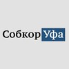 Логотип телеграм канала @sobkor02 — sobkorufa.ru