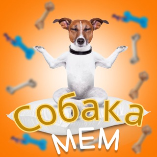 Логотип телеграм канала @sobmem — Собака мем🐶