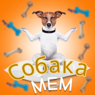 Логотип телеграм канала @sobmem — @officialfaces - скамер ❌