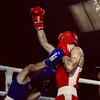 Логотип телеграм канала @sobolek09 — 𝑺𝑶𝑩𝑶𝑳_𝑩𝑶𝑿𝑰𝑵𝑮🥊