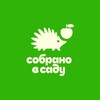 Логотип телеграм канала @sobranovsadu_official — Собрано в саду