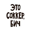 Логотип телеграм канала @soccerbeach — Это соккер, бич!