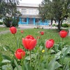 Логотип телеграм канала @soch8lev — МБОУ СОШ8 с.Левокумка