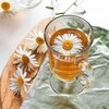 Логотип телеграм канала @sochaycromashka — ✨🌼Կᥲᥔ ᥴ ρ᧐ⲙᥲɯκ᧐ᥔ🌼☕️✨