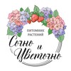 Логотип телеграм канала @sochnoicvetochno — Сочно и Цветочно. Питомник растений