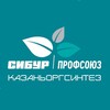 Логотип телеграм канала @social_kos — Профсоюз Казаньоргсинтез